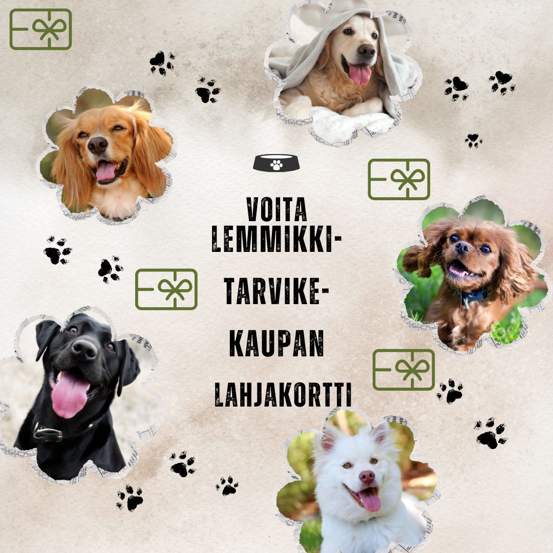 Voita lahjakortti lemmikkiliikkeeseen